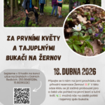 Za prvními květy a tajuplnými bukači do Žernova!