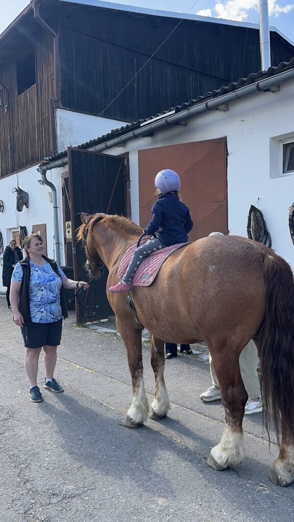 Setkání nově zařazených pěstounských rodin na farmě Apolenka
