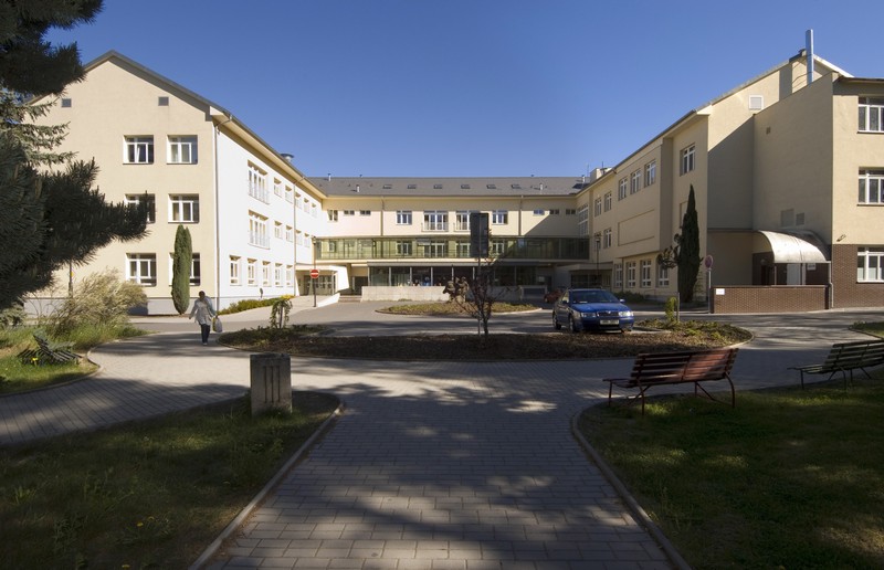 litomyšl zeleň nemocnice