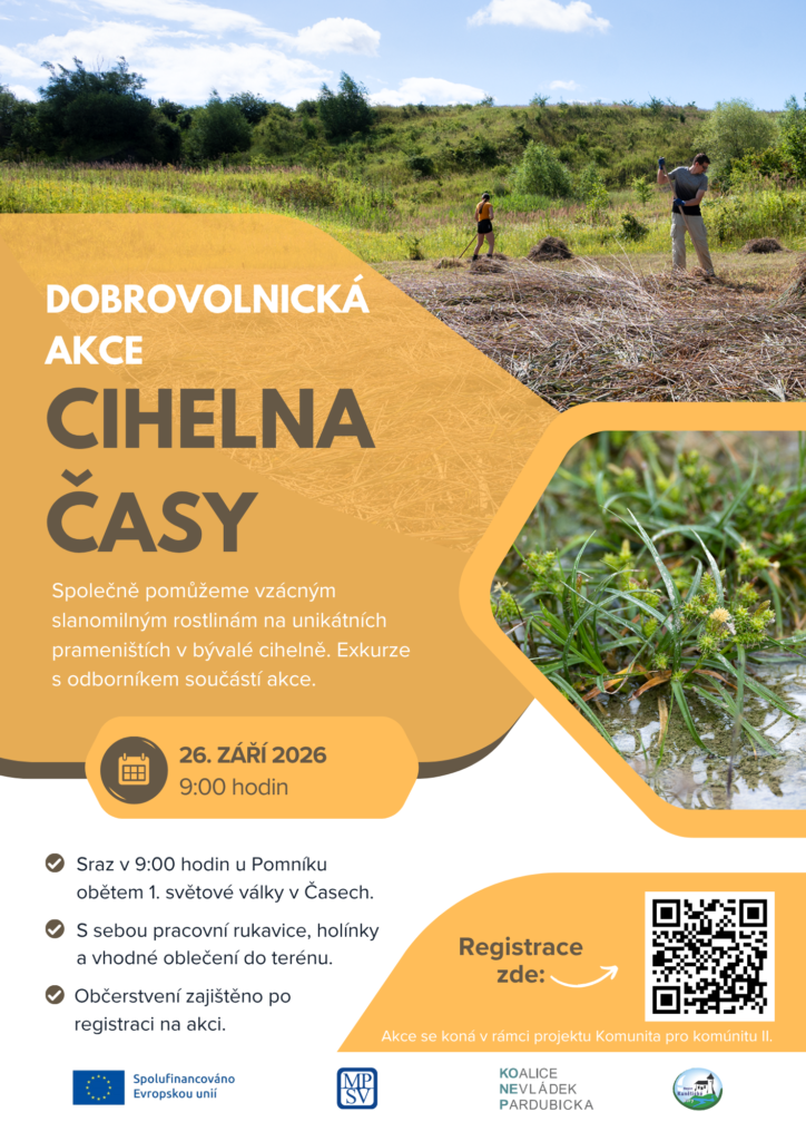 Časy